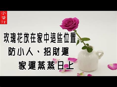 種玫瑰 風水|【門口種玫瑰風水】門口種玫瑰風水大解析！好運招財還是多口。